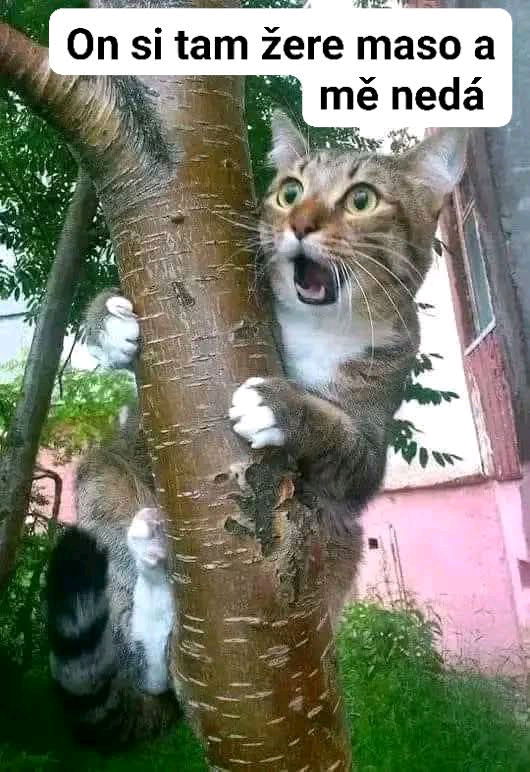😱😂
