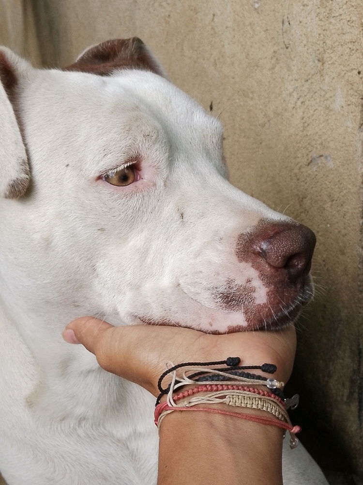 Capi🥀🐶