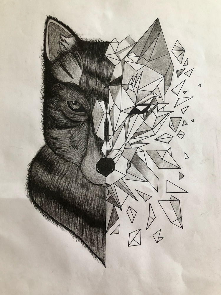 그림 🎨