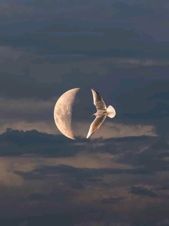 Güzel günler gelecek