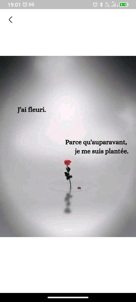 Le choix ...