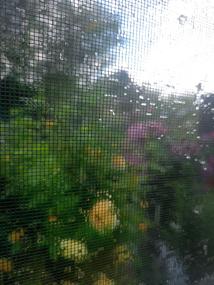 Лето началось громко 🌩🌧