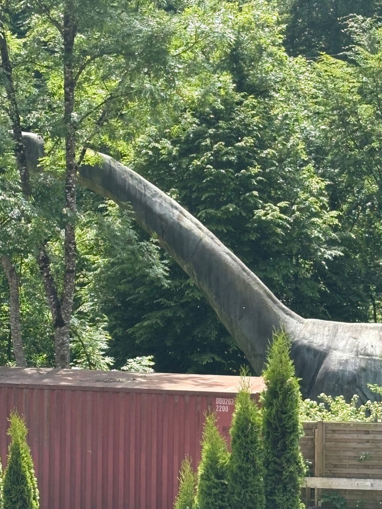 Dino Museum 🦖💚
