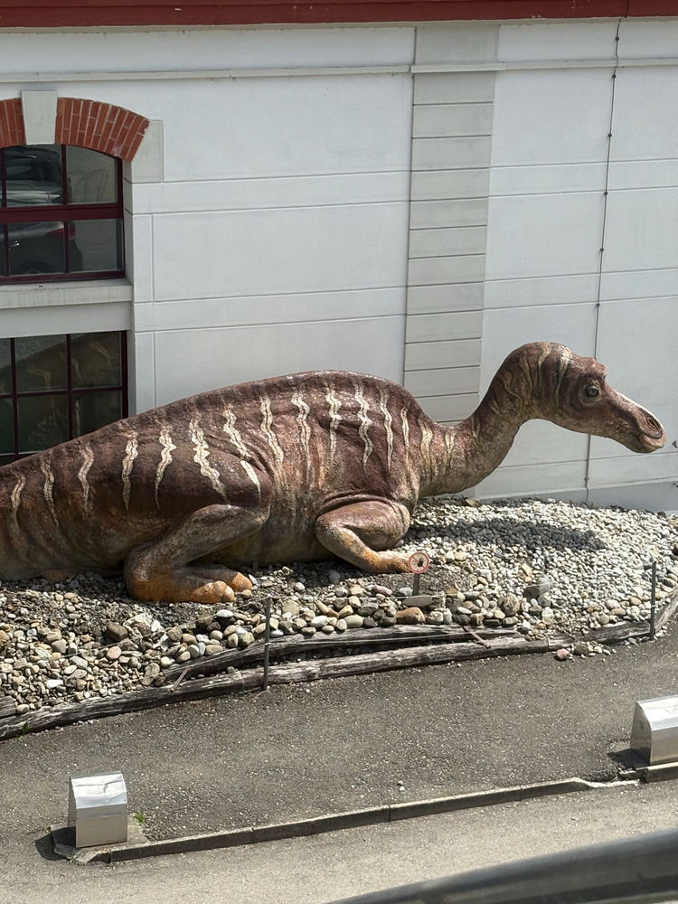 Dino Museum 🦖💚