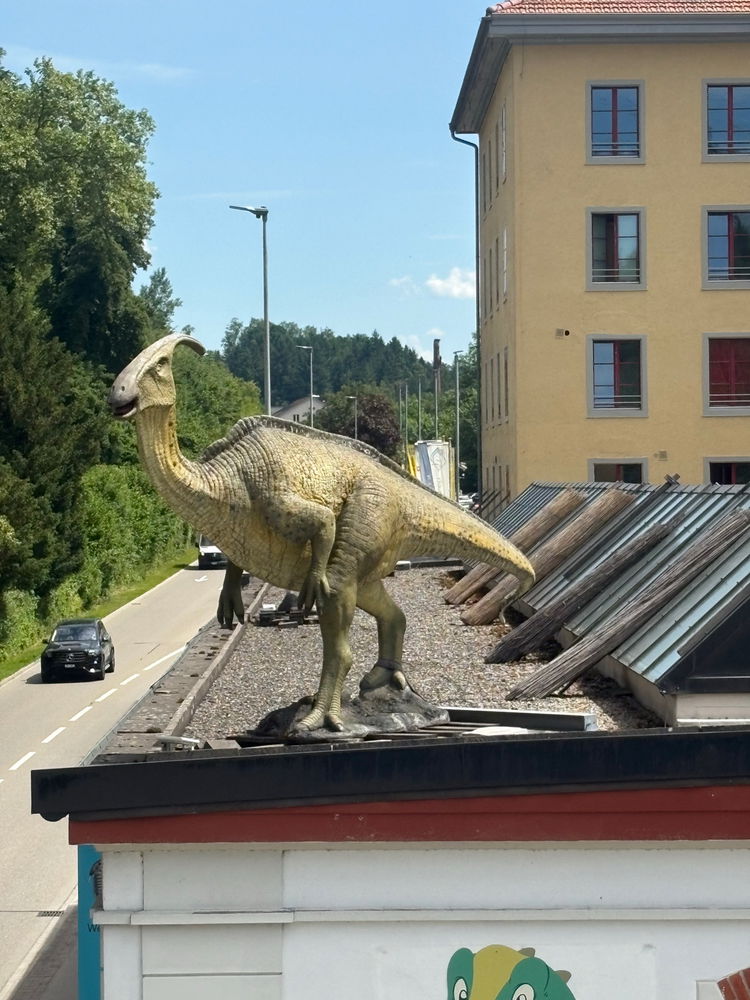 Dino Museum 🦖💚