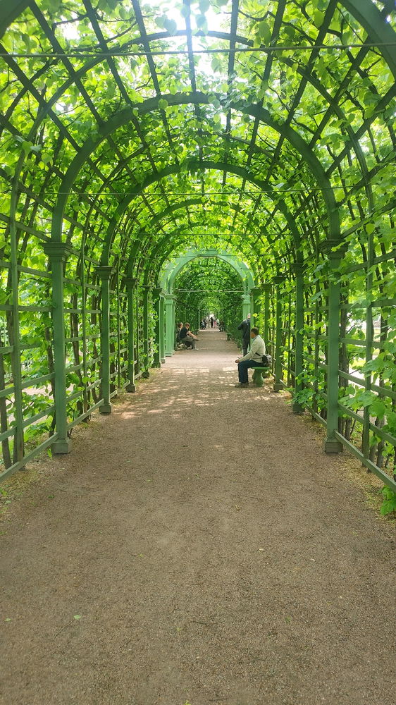 Summer in Saint Petersburg