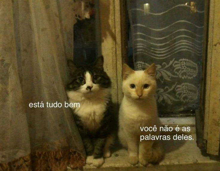 Boa noite!
