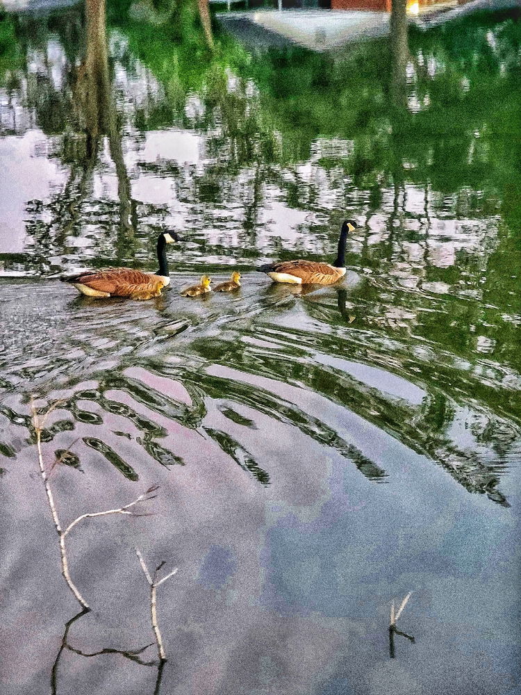 Some of my favorite photos