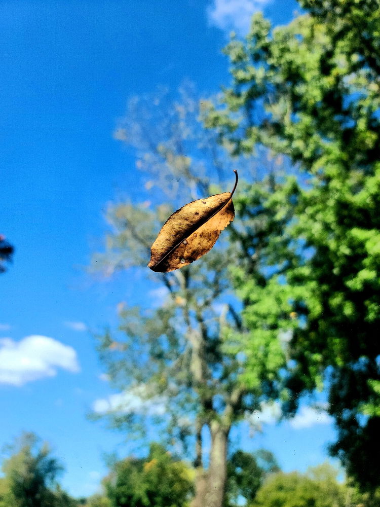 Some of my favorite photos