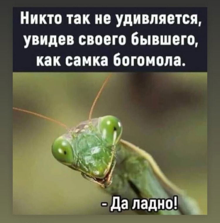 А  вы удивлялись, встретив бывшего/ую?