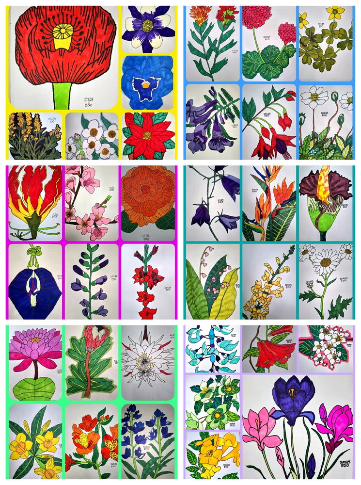 My Floral drawing (36 flowers) 💐