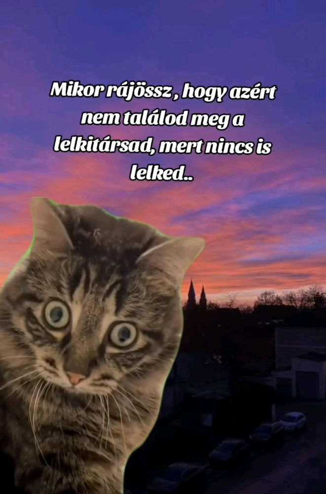 🤣