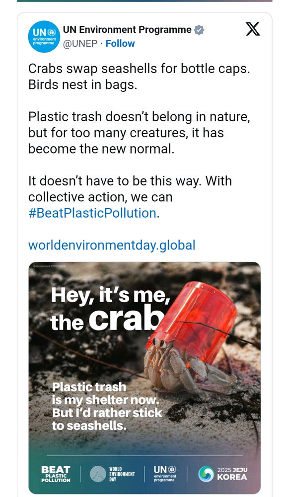 World environment day