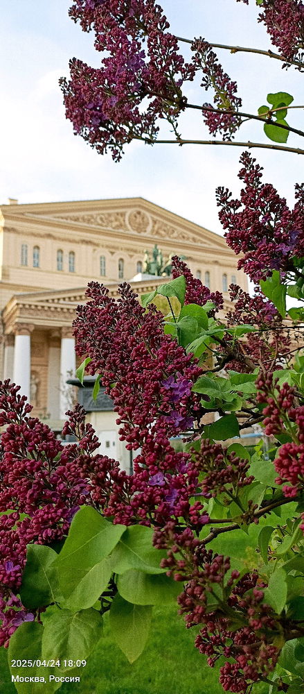 «Театр — высшая инстанция для решения жизненных вопросов» (Александр И. Герцен)