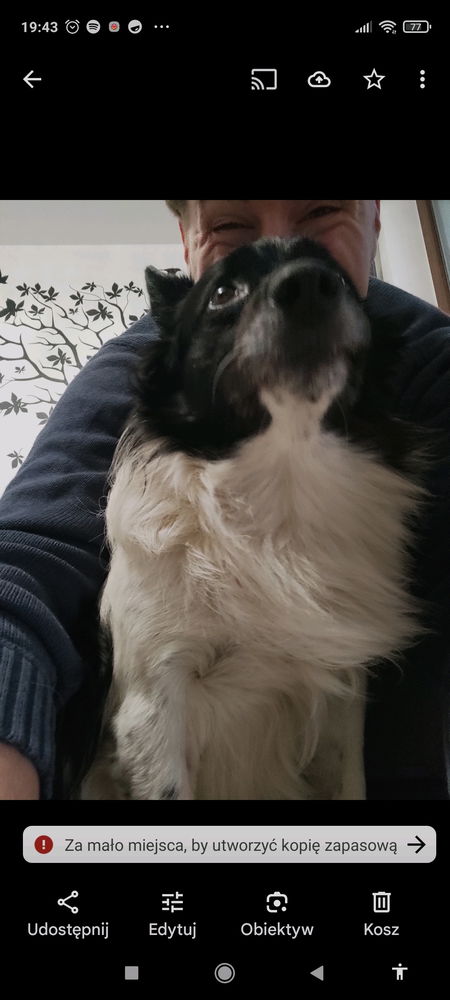 Gdzie są baddies które graja w lola 😭😭