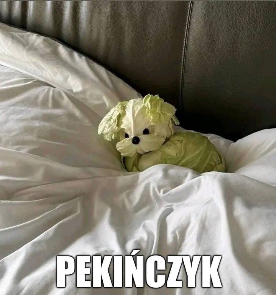 Pekińczyk