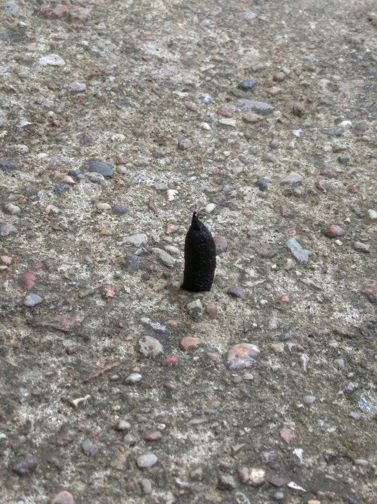 Strange Glob
