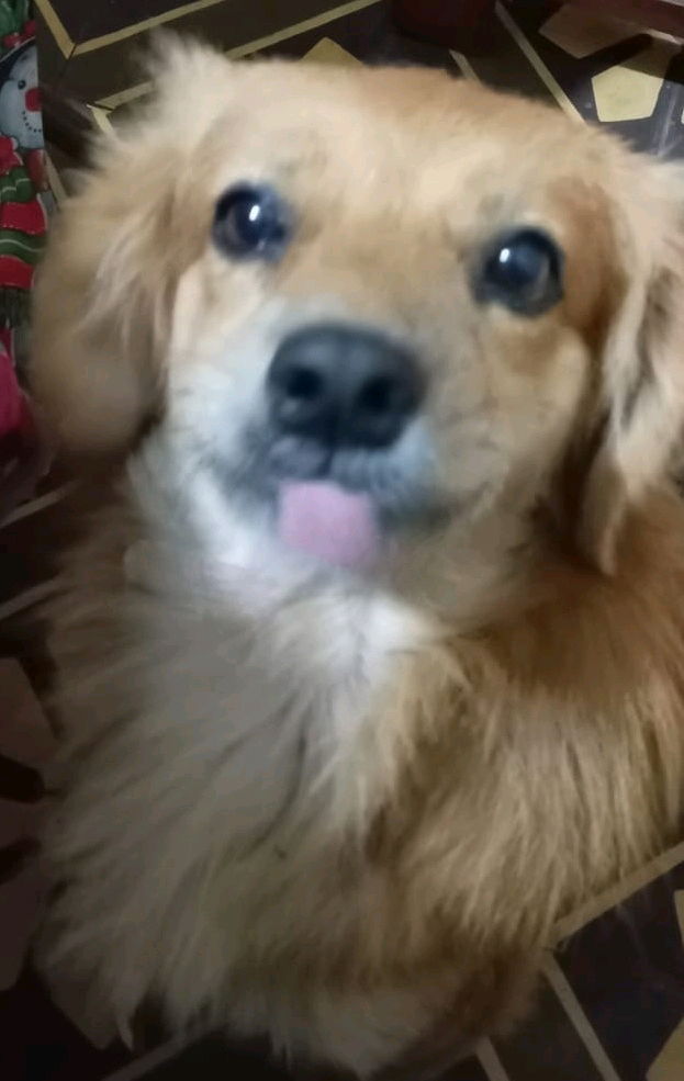 😝