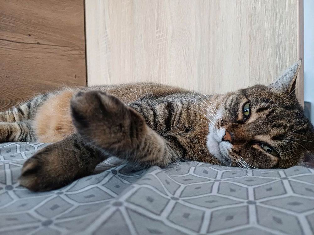 Звичайний ранок