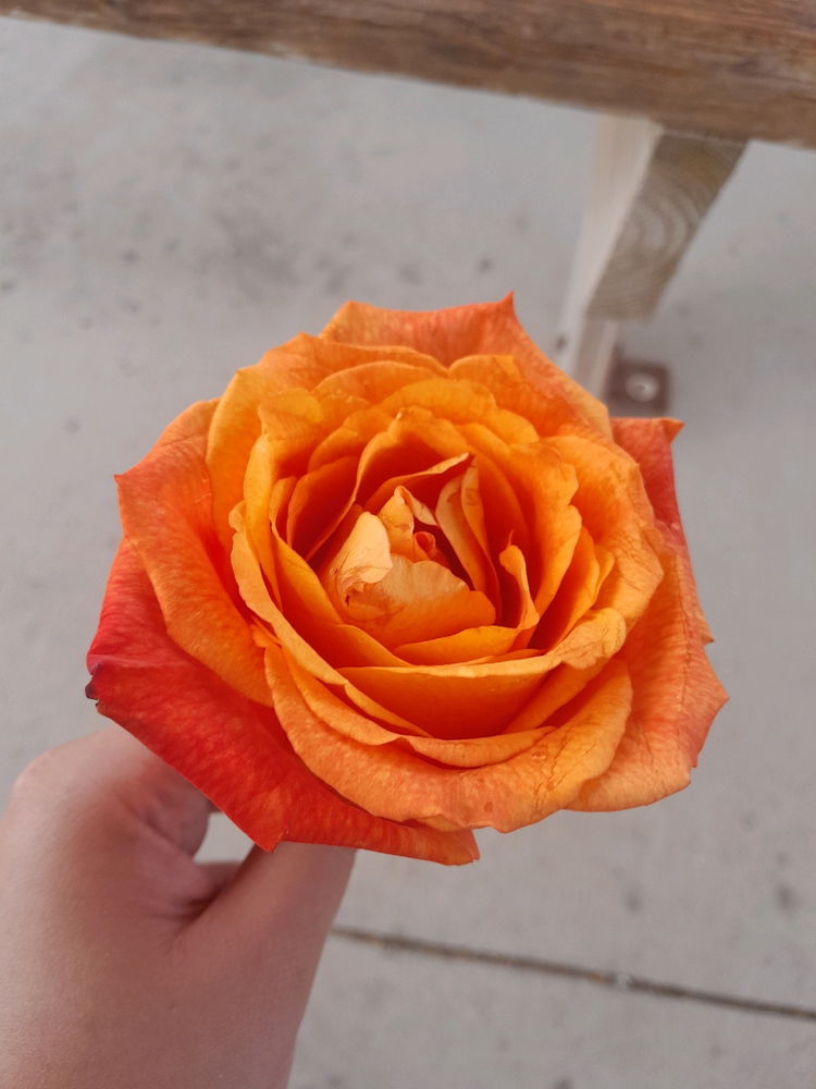 Find beauty in the simple moments