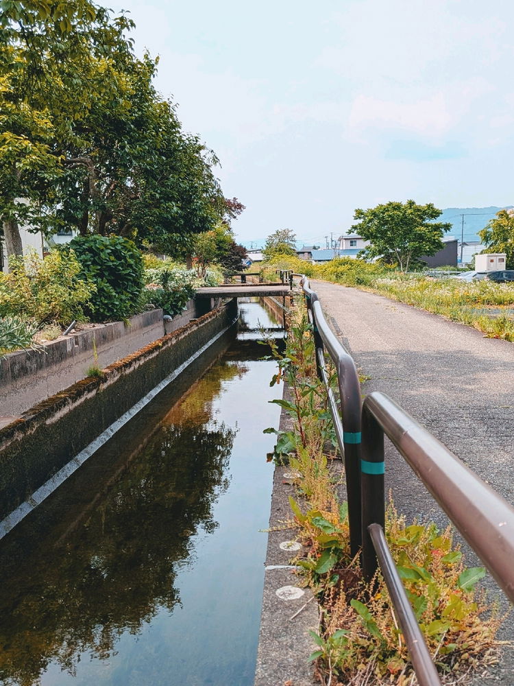 秋田