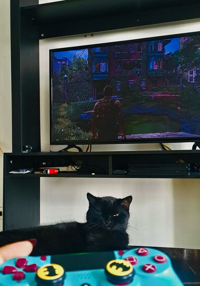 Tlou