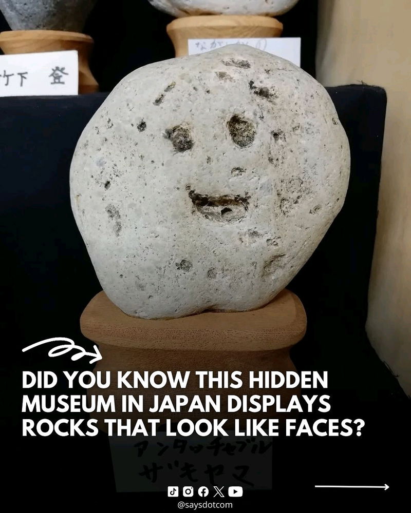 😄🪨