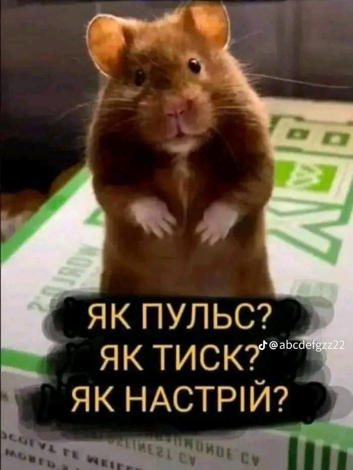 Що ви тут,родичі гарВоозові?
