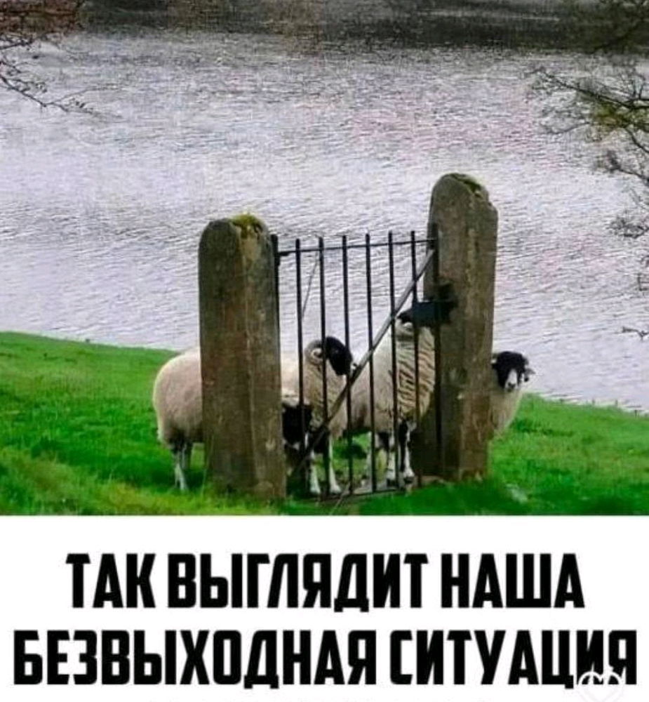 Запомните, выход есть всегда 🌼