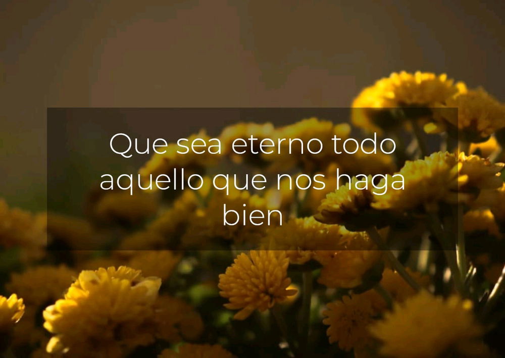 🌼🙏