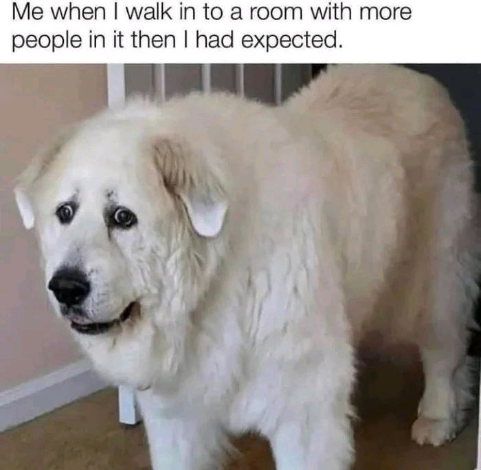 Oh god no