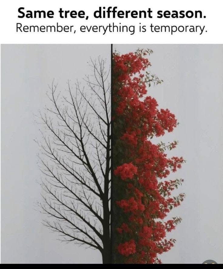 Same but different