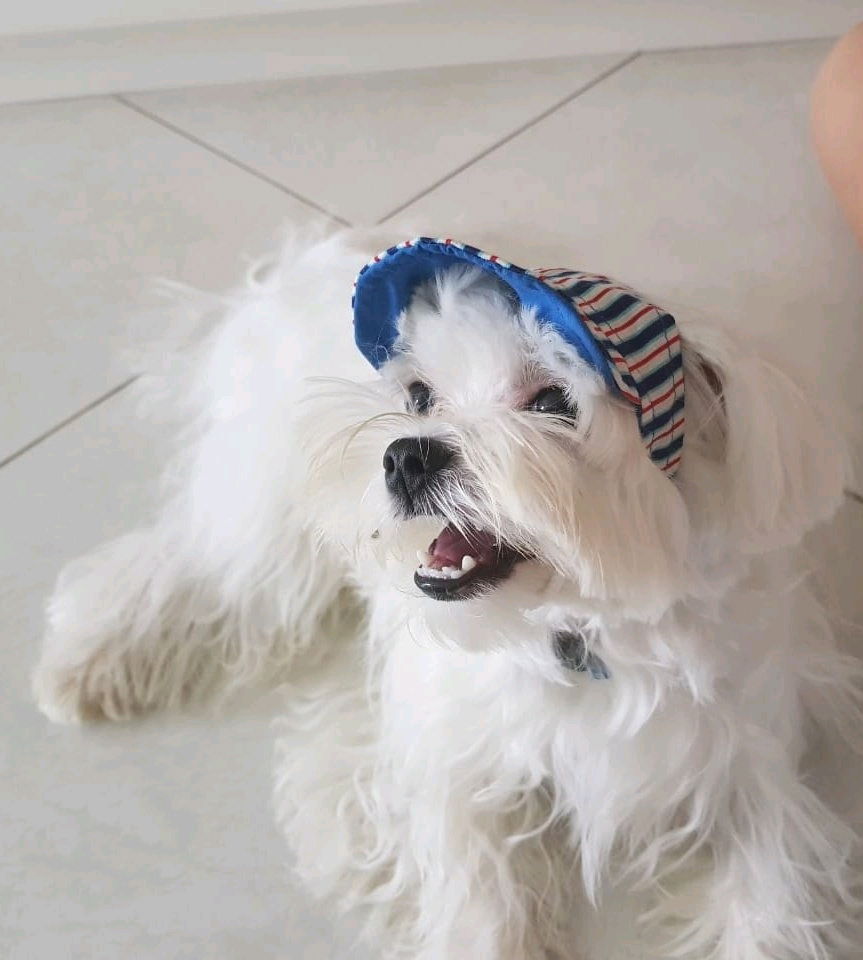 Um bom conquistador...
