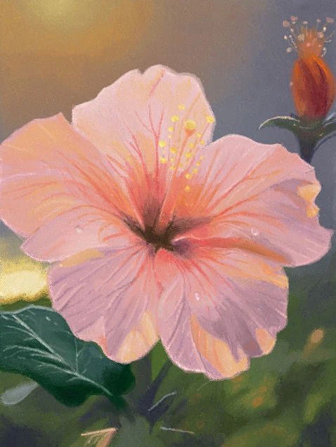 Hibiscus