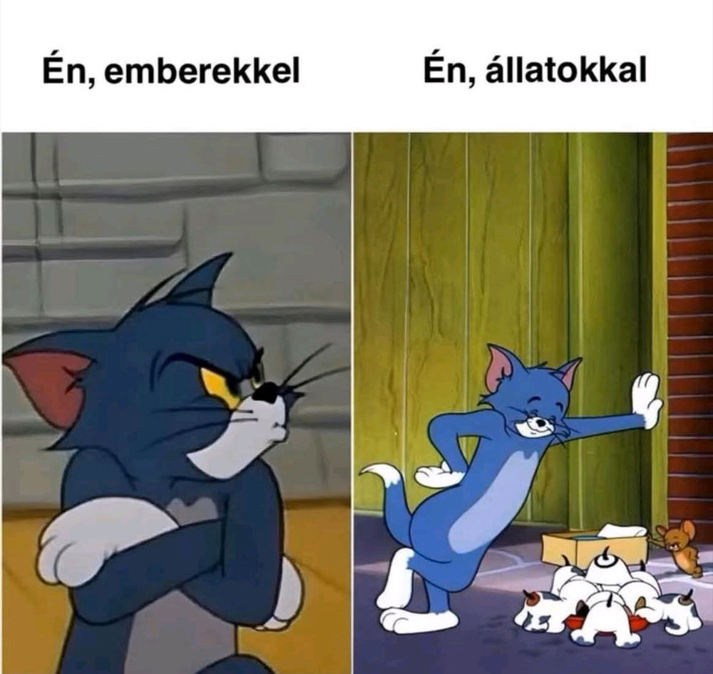Nem áll távol a valóságtól 🤔😅
Az állatokban, tárgyakban nem csalódik az ember 🤓