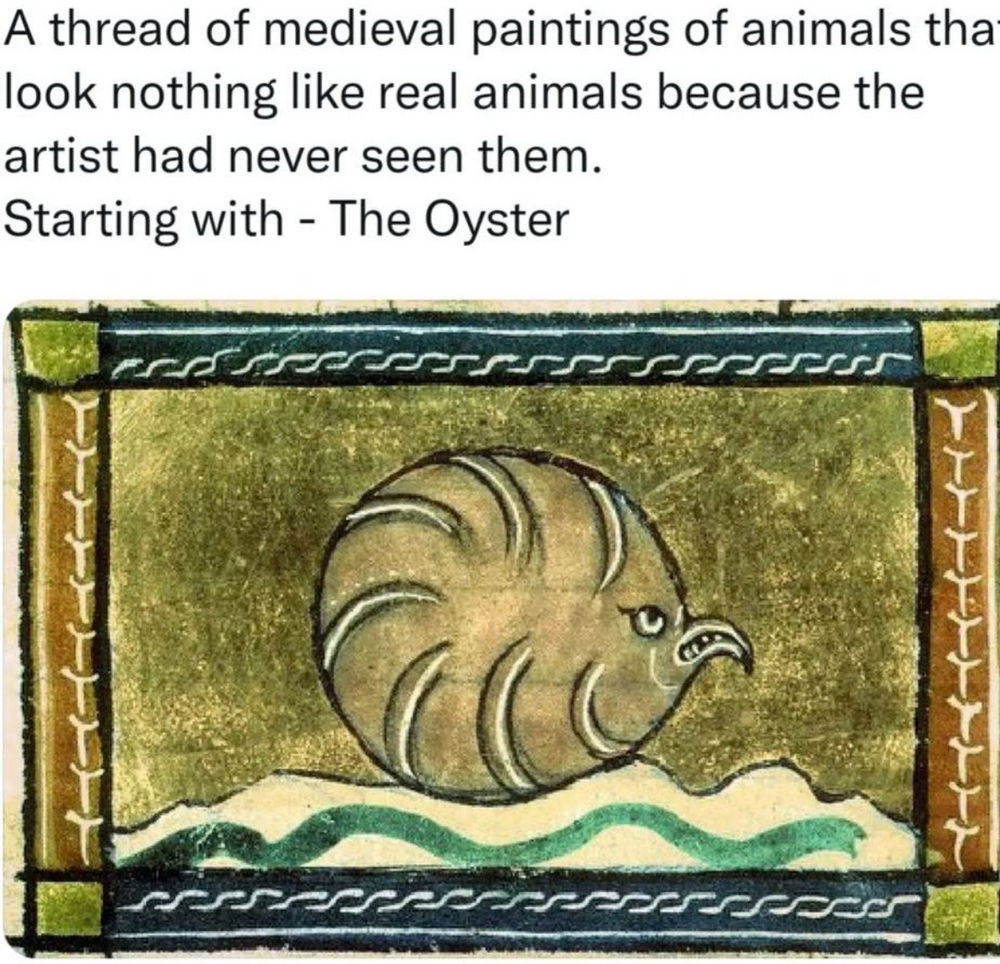 ✨