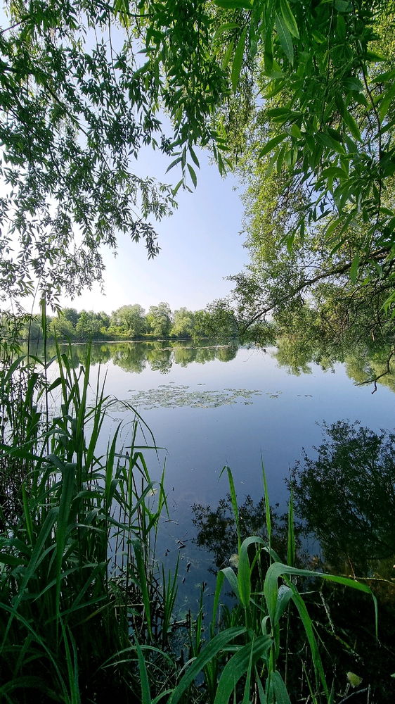 Oase der Ruhe