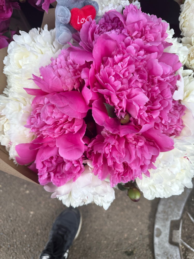 Peonies season