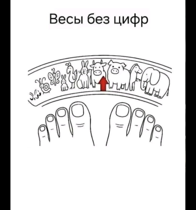 Правильные весы