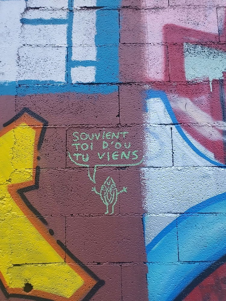 🙌