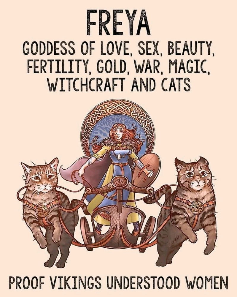 😼🧝🏅