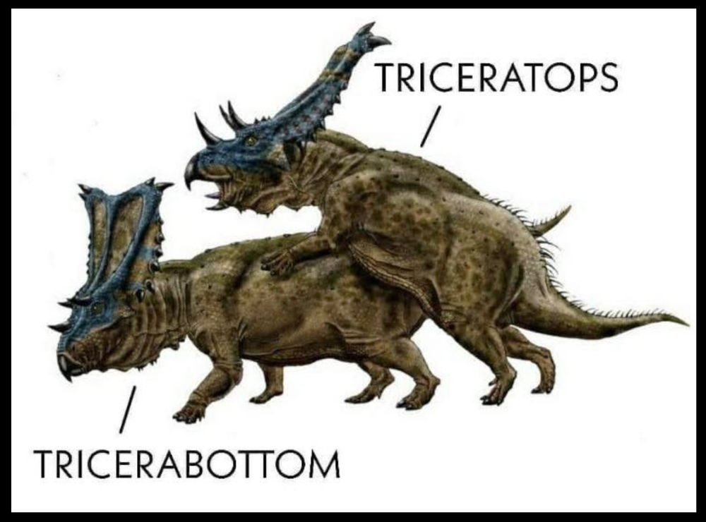 🦕