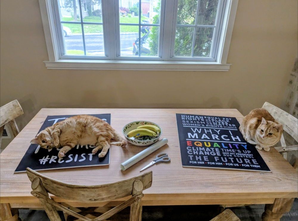Protest Prep