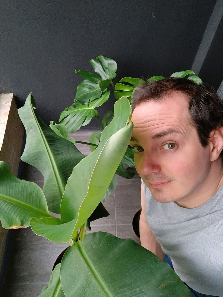 🌱