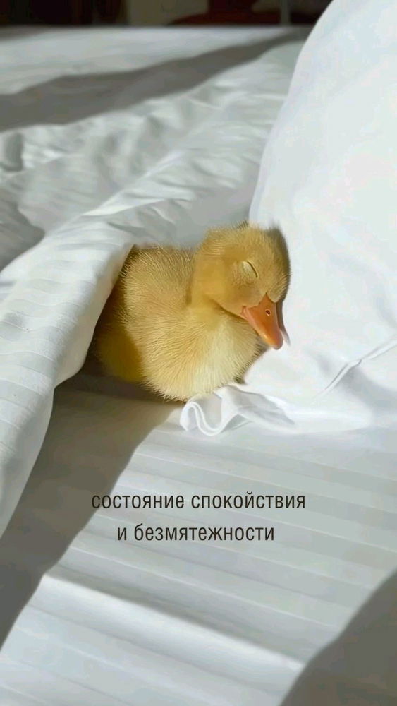 ооомм