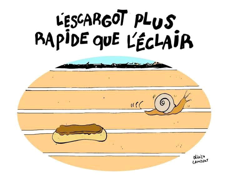 Mais où est donc la 🐢 ?