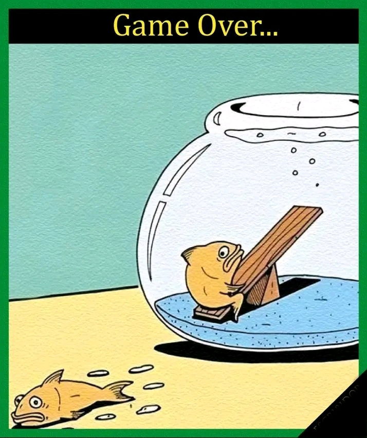 le jeu est terminé...