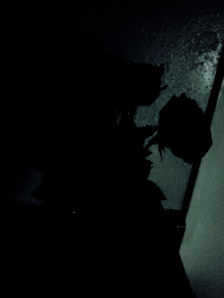Some pictures I took