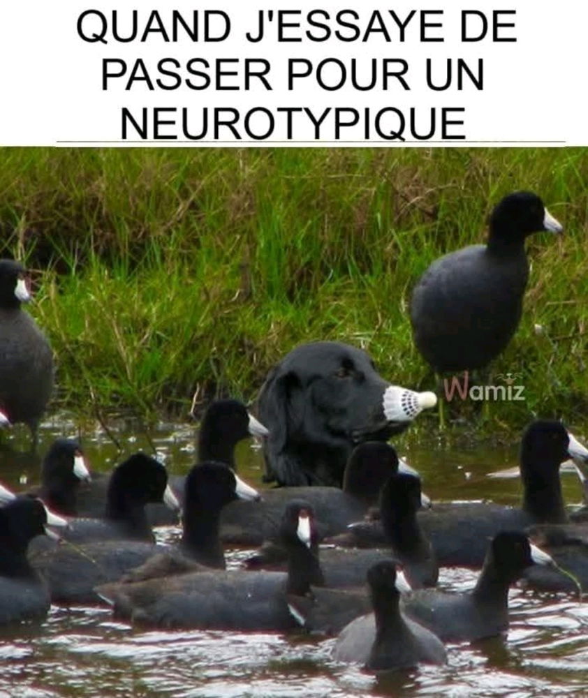 🙊