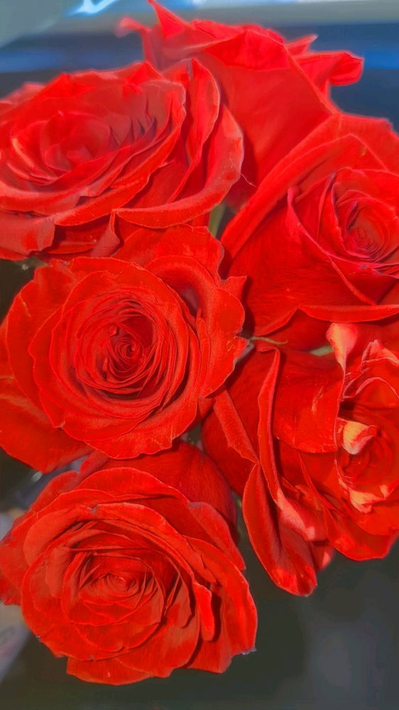 🌹